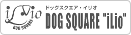 Dog Square iLio(イリオ)