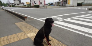 実践訓練(街中)