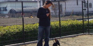 停座「小型犬」