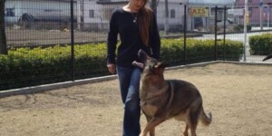 脚側行進・歩行訓練