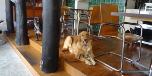 ノアール・カフェ