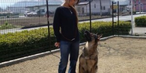 停座「大型犬」