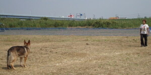 立止「タテ・タッテ」