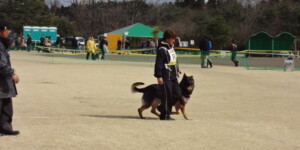 全国訓練チャンピオン決定競技会