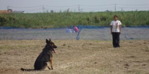 招呼(停座から)