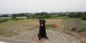 環境訓練(公園)