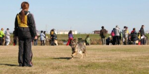 招呼 「こい」・「おいで」